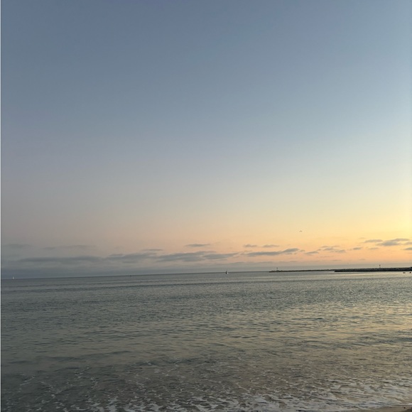 Meet your Posher, Nikola - Picture 1 of 1